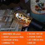 OMED Dimmable LED Vintage Edison Bulbs, ST64 2700K Soft White Fishbone Filament Antique Edison Bulbs Whit E26 Base 60 Watt Equivalent, 6W 600LM Old Fashioned Amber Glass Spiral Light Bulbs 12 Pack