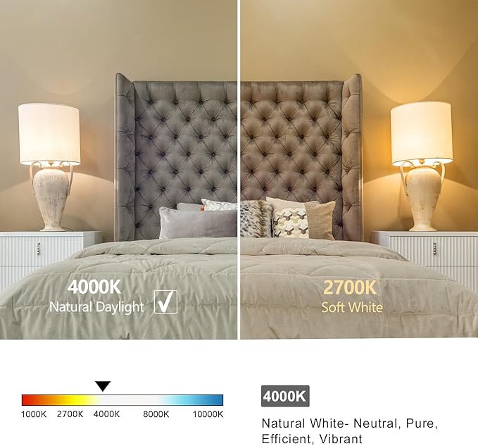 8 PCS Dimmable Vintage LED Edison Bulbs, 6W Equivalent 60 Watt, Natural White 4000K, Antique Flexible Spiral LED Filament Light Bulb, ST58 (ST19), 600 Lumens, E26 Base, Clear Plastic