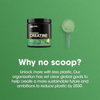 Optimum Nutrition Creatine Monohydrate Powder - Blueberry Lemonade Creatine, 60 Servings