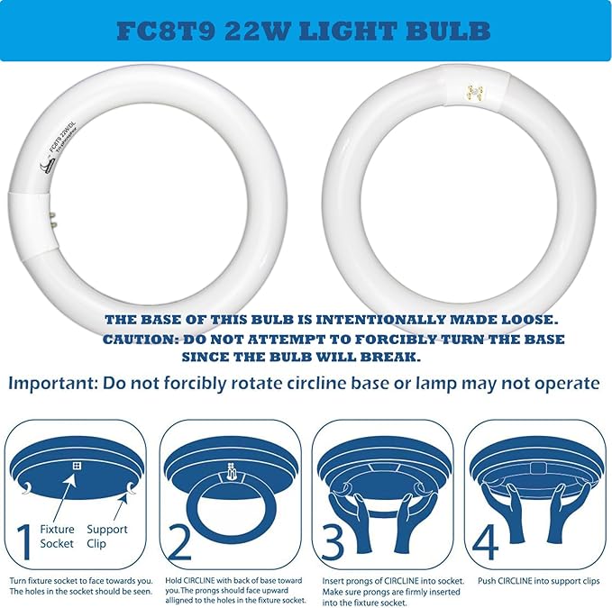 Circular Bulb FC8T9/DL, 8 Inch T9 22W Circline Fluorescent Light Bulbs, Replacement Round Fluorescent Lamp Tube, Bright Daylight 6400K 1250 Lumens, G10q 4 Pin Base, 2 Pack