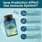 Probiotics for Women-Men Digestive Health with 120 Billion Probiotics, Prebiotics and Probiotics for Women-Men, Digestive Enzymes, Nutrient Absorption, Immune Support, 90 Veggie Caps (45 Days Supply)