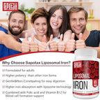 Liposomal Fe Iron Supplement for Women,65 mg Iron Supplements with Folic Acid & Vitamin B12 for Men,Red Blood Cell Production,Energy Support for Adults Iron Deficiency 60 Softgels(2 Bottle)