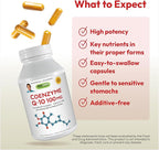 Andrew Lessman Coenzyme Q-10 100 mg 360 Capsules – Essential for Energy Production and Optimum Key Organ Function, Anti-Oxidant Support, Depleted by Aging, Plus B-Complex. Easy to Swallow Capsules
