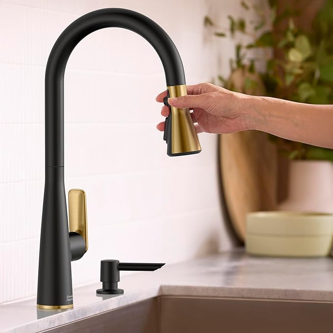 American Standard 1048814240 Aspirations Single-Hole Kitchen Sink Faucet with Pull-Down Sprayer, 1.8 GPM, Matte Black/Brushed Gold