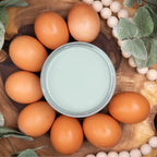 Dixie Belle Paint Company Chalk Finish Furniture Paint - Vintage Duck Egg (16oz) - Matte Light Blue Chic Chalk Mineral DIY Furniture Paint