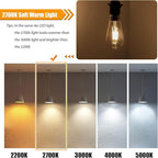 8 Pack Soft White LED Edison Bulbs 40W Equivalent, ST58 4W Vintage LED Light Bulbs for Ceiling Lights, 90 CRI, 450LM, E26 Base, Non-Dimmable, 2700K