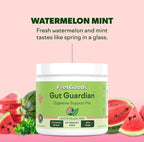 Feel Goods Gut Guardian, Prebiotic & Probiotic Powder, Organic Fiber, Sugar Free, Herbs for Bloat, Gut Health Support, Digestive Health for Men & Women, Non GMO, Vegan | Watermelon Mint, 30 Servings
