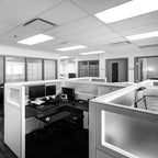 LUXRITE F17T8/841 17W 24 Inch T8 Fluorescent Tube Light Bulb, 4100K Cool White, 1350 Lumens, G13 Medium Bi-Pin Base, LR20752, 12-Pack