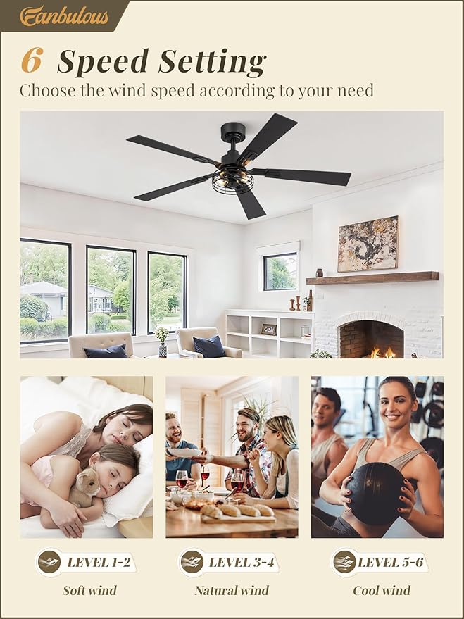 2 Pack Farmhouse 48 Ceiling Fans with Lights, Industrial Caged Ceiling Fans for Bedroom Living Room, Double-Sided 5 Blades Rustic Ceiling Fan-Black