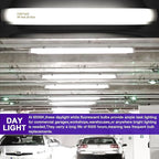 T12 Fluorescent Tube Light Bulb 20 Watt Daylight, F20T12/D Replacement for 79042 F20T12/SUN/ECO F20T12/D/ECO 273284 F20T12/D/ALTO 1100 Lumen G13 Base, 24 Inch 4 Count