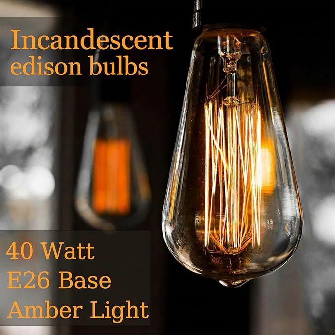 GOENDR E26 40W Edison Bulbs, ST64 Vintage Incandescent Light Bulbs, 2700K Warm Dimmable, Squirrel Cage Filament Bulb for Table Lamp Home Antique Decorative, 4 Pack