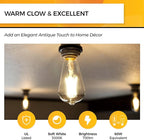 Hizashi LED Edison Bulbs, 6W, Equivalent 60W, Dimmable E26 LED Bulb, 3000K Soft White, 90+ CRI 700 Lumens, ST19 Vintage Light Bulbs, Clear Glass, Pack of 3