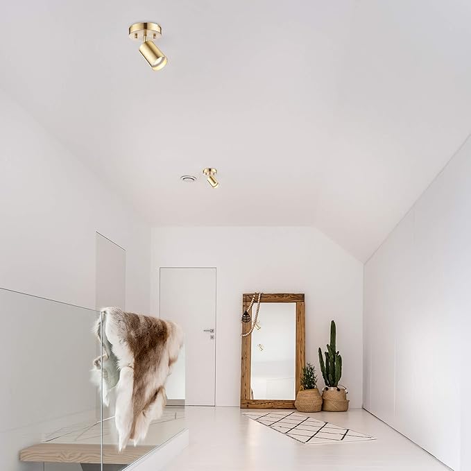 GLOBE Electric 59765 Pratt 1-Light Track Lighting Spotlight, Matte Brass, Gold