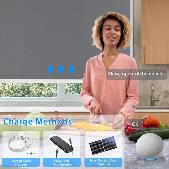 Motorized Blinds with Remote Cordless Automatic Motorized Shades Custom Blinds for Windows Smart Curtains Compatible with Alexa Google Home(Blackout Thunder Grey,W28 x H72in)