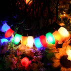 C7 LED Multicolor Replacement Light Bulbs for Christmas Strings Light, 25 Pack 0.6W E12 LED Light Bulbs for Hanging Outdoor String Lights, E12 Candelabra Base (Red, Blue, Green, Orange, White)