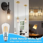 Ralbay ST48 Vintage LED Edison Bulbs 6 Pack, 60W Equivalent, Warm White 2700K, Clear Glass E26 Medium Base