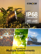 COLOER Die-cast Brass LED Landscape Flood Lights Outdoor 12-Pack with G4 Bulb, 2W 12-15 Volt Low Voltage Wall Wash Lighting, Outdoor Floodlight for Illuminating Signs, Walls and Plant Material(501B)