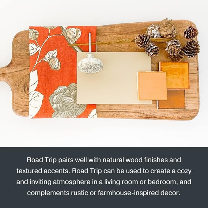 Country Chic All-in-One Chalk Paint for Furniture, Cabinets, Home Decor, Eco-Friendly, Matte Finish, Built-In Primer & Top Coat for Wood, Metal - Road Trip (Tan) - 8 oz (237 ml)