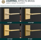 Mega Handles Apex Dummy Door Handles - 2 Pack Heavy Duty Gold Door Handle, Non-Turning Door Handle for Hallway, Closet & French Doors, Single Side, Fits All Standard Doors - Satin Brass