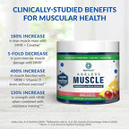 BioTrust Ageless Muscle Builder - Creatine HMB Powder with Vitamin D3 & Betaine - Build & Preserve Naturally Declining Muscle Mass & Strength - Fruit Punch, 30 Servings