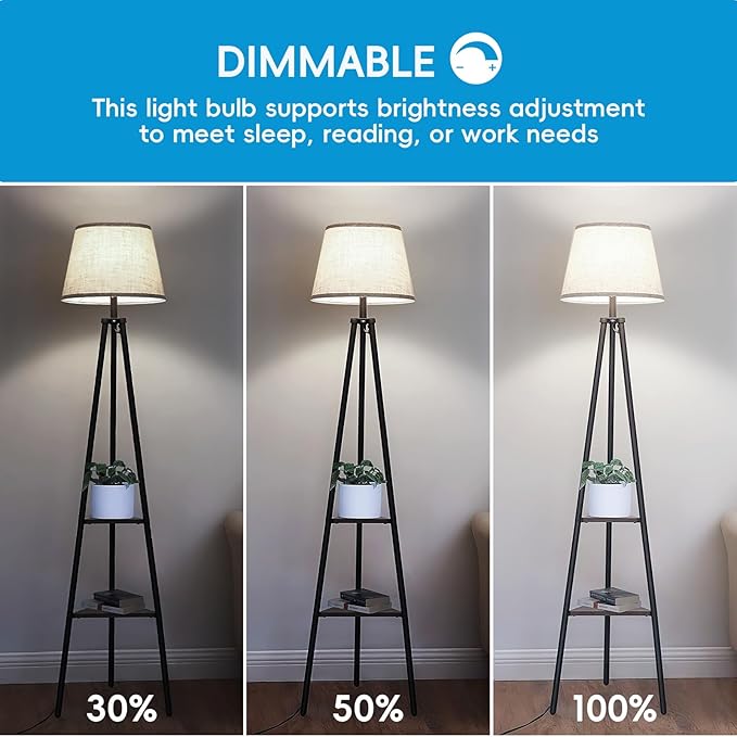 Jensense Edison LED Light Bulbs 8Watt Dimmable, 2700K Warm White, E26 Base, 60W Equivalent, Vintage Style, 800lm, CRI 90, Clear Glass, 24 Pack