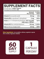 Iron Supplement for Women & Men, Iron Bisglycinate with Vitamin C, B6, B12, Folate, Stomach Friendly, Non-Constipating, Blood Health & Energy Boost, 60 Vegan Caps