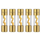 20A AGU Fuse 20 Amp Gold Plated Glass Inline Automobile Audio Fuses for Car Auto Stereo Amplifier Safety Power Protection 12V (Pack of 5 Pcs)