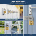 HOX 12-Pack Keyed Padlock, Waterproof and Rustproof, Solid Brass Lock with 1-1/4" Wide Body, Padlock with Keys for Storage Unit, Sheds, Garages and Fence