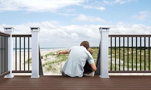 100 Pack Deck Balusters with End Caps&Screws- Upgraded 26'' Rectangle Metal Railing Spindles Kit for Decks,Hollow Flat Deck Balusters for Deck Railing Porch