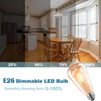 HESSION ST64 LED Edison Bulbs, 4W Equivalent 40W, Soft Light Amber Glass 2700K, LED Filament Bulbs with 90+ CRI E26 Medium Base, Dimmable Light Bulb for Home Lamp, Wall Sconce, Chandelier, 6 Pack