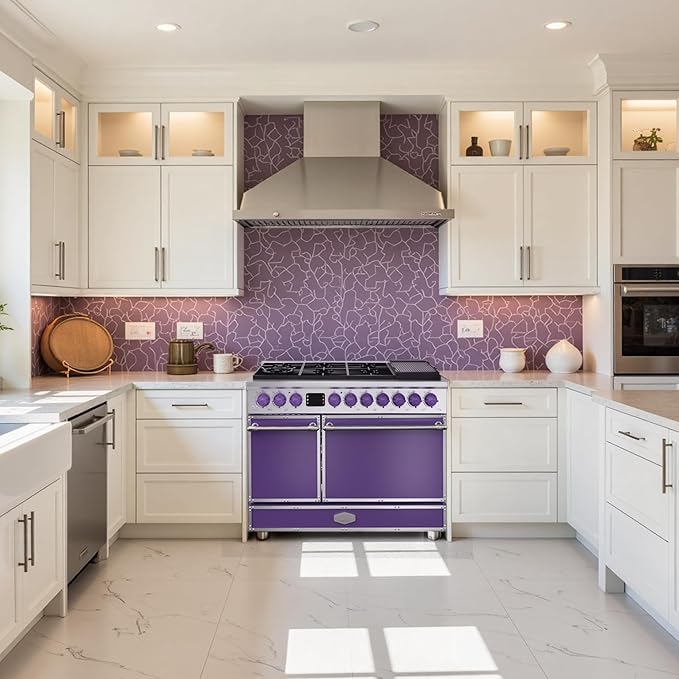 Akicon 48" Freestanding Gas Cooktop Oven Combo, Features 8 Sealed Burners, 6.7 Cu.ft Rapid Convection Oven, Convertible Fuel (NG/LP), Durable Cast Iron Grating (DPSDPSB3)