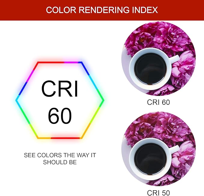 Dysmio Lighting F17T8-DL 17-Watt - 24 Inch,T8 Straight Tube, Medium Bi-Pin Base, 6500K - Daylight - Pack of 8