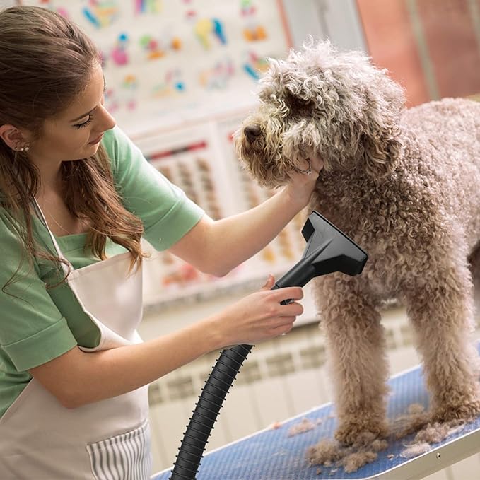 STANLEY Wet Dry Vacuum 4 Gallon, 4 Peak HP Shop Vacuum Portable Stainless Steel Multifunction for Job Site, Garage, Basement, Workshop