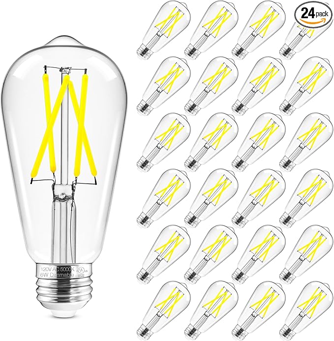 Hizashi Vintage LED Light Bulb Dimmable, 6W Equivalent 60W, 5000k Daylight, E26 Base Led Edison Bulbs, 700LM, High CRI 95+ Eye Protection, Clear Glass, Pack of 24