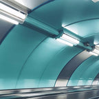 Dysmio Lighting F17T8-DL 17-Watt - 24 Inch,T8 Straight Tube, Medium Bi-Pin Base, 6500K - Daylight - Pack of 8