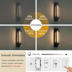 11.8IN 1000LM 2700K Soft White Light Bulbs E26 Base, T10 T9 Edison Bulbs Dimmable 8W, AC 120V 100 Watt Equal Filament Bulb, Vintage Clear Glass Long Tubular LED Bulb, UL Listed - 2Pack