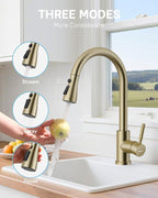 WEWE Kitchen Faucets with Pull Down Sprayer, Stainless Steel Single Handle 1 Hole for Family Kitchen Commercial Camper Laundry Rv Bar, Gold