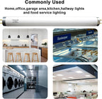 F15T12-CW T12 15 Watt 18 Inch Fluorescent Light Bulb,F15T12-CW 15 Watt Cool White,4100K,T12 Linear Fluorescent Lamp,Medium Bi-Pin G13 Base,850 Lumens(4Pack)