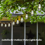 10-Pack Edison Replacement Light Bulbs, 7-Watt E12/C7 Incandescent ST38 Replacement Clear Glass Light Bulbs for Outdoor Patio String Lights, Vintage Light String