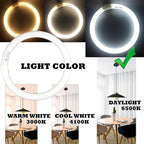 FC12T9 32 Watts Circline Light Bulbs Daylight, Circular 12 Inch T9 32W Round Fluorescent Bulb Replacement for Circle Ceiling Fixture Lamp, DL 6500K Tube, G10q 4 Pin Base, 2 Pack