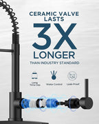 FORIOUS Black Kitchen Faucet with Soap Dispenser, Stainless Steel Single Handle Modern Spring Commercial Sink Faucet with Pull Down Sprayer for Laundry & Utility Room RV Camp Bar Farmhouse