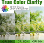 LED Candelabra Bulbs B10, E26 Base, 2700K Soft White, 6W, 60 watt Equivalent, 600LM, Clear Glass Candle Shape Bulbs for Chandelier Light Fixture, Non-Dimmable, 6 Pack