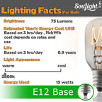 Salt Lamp Bulb -15 Watt Replacement Bulbs for Himalayan Salt Lamp & Baskets, Scentsy Plug-in & Wax Warmers, Night Lights. T20 E12 Socket with Candelabra Base, Clear, 8 Pack