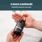 Probiotics for Men by Ancient Nutrition, SBO Probiotics Men's 60 Ct, for Gut Health, Digestive and Immune Support, Boosts Muscle Mass and Fat Metabolism, 25 Billion CFUs* Per Serving