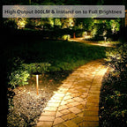 Vinaco MR16 Bulb，10Pack MR16 Halogen Bulb 50W GU5.3 Base, 800LM High Output MR16 12V 50W Halogen, 2800K Warm White MR 16 Dimmable with Clear Glass Cover, MR 16 GU5.3 for Landscape, Track Lights