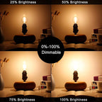 LiteHistory Dimmable G16.5 LED Light Bulb 6W Equal 60W 600lm AC120V Candelabra Bulb 60W for Chandeliers, Ceiling Fan, Vanity Warm White 2700K Globe Light Bulb 6Pack