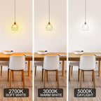 Energetic Dimmable LED Filament Light Bulbs, 8W, 60 Watt Equivalent, Daylight 5000K, Classic Clear Glass, A19 LED Light Bulb, 6 Pack