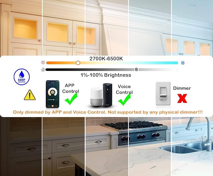 CLOUDY BAY [6 Pack] 3 inch Smart WiFi LED Recessed Lights,RGBCW Color Changing,Compatible with Alexa and Google Home Assistant,No Hub Required,2700K-6500K,IC Rated