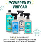 Aunt Fannie's Glass & Window Cleaning Vinegar Spray, Natural Streak-Free Spray 16.9 Ounces (Pack of 3)