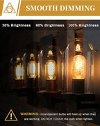 DORESshop Vintage Edison Light Bulbs, 40 Watt, Incandescent, Amber Glass, Warm White, 6 Pack